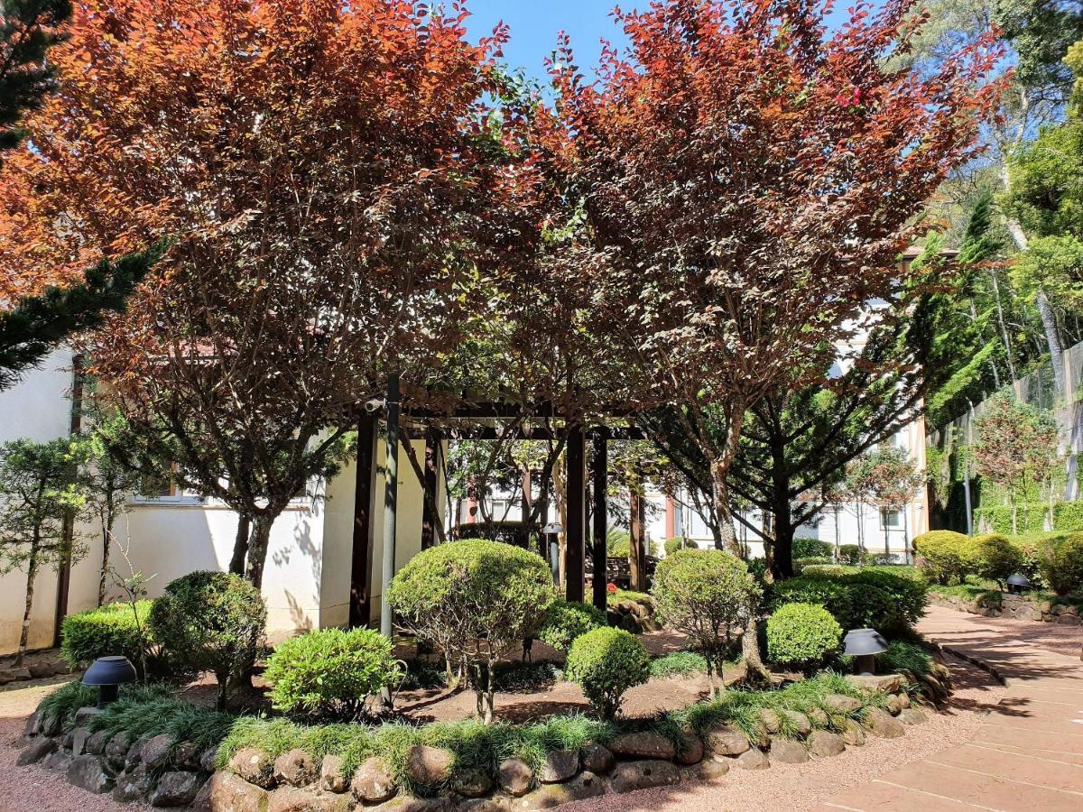 Apto No Centro De Gramado Com Piscina Termica Dış mekan fotoğraf
